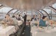 Union Pacific Railroad , Astra Dome Dining Car , 40-50s - Trains