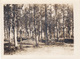 Photo 14-18 VILLE-SUR-TOURBE, SERVON - Position Allemande Au Bois De Ville (A212, Ww1, Wk 1) - Ville-sur-Tourbe