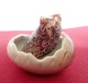 PETITE CHOUETTE  Miniature En Porcelaine, Sortant De Sa Coquille D'oeufs - Animaux