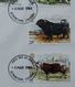 Enveloppe Premier Jour 06/03/1984 : Bétail ; 5 Timbres : Highland Cow / Chllingham Wild Bull / Hereford Bull Etc - Mucche