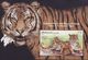 Malaysia 2019-8 Wildlife Conservation M/S MNH Fauna Tiger Rhinoceros Unusual - Malaysia (1964-...)