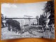 FIRENZE Poggio A Caiano Villa Medicea La Limonaia   VIAGGIATA 1956 - Firenze