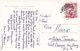 Austria PPC Burg Forchtenstein Burgenland MATTERBURG 1959 To NEW JERSEY Volkstrachten Stamp (2 Scans) - Forchenstein