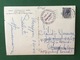 Cartolina Albergo Obereggen - Gasthof - Bei Ortner - 1960 - Non Classificati