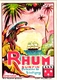 7 Etiquettes RHUM  Santa Lucie Domaine De Tintiguy Tournai  Ranco Paquita Rico - Rhum