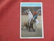 Bull Fight Picador & Horse Charged By Bull Juarez Mexico          Ref 3521 - Corrida