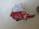 PIN'S    SOMMER  FORMAGE  C E   CITROEN  RENAULT  OPEL  PEUGEOT - Peugeot