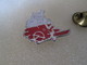 PIN'S    SOMMER  FORMAGE  C E   CITROEN  RENAULT  OPEL  PEUGEOT - Peugeot