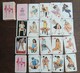 Jeu De 54 Cartes à Jouer Aslan Femme Pin Up Nues éditions Rombaldi En Boite Neuf Parfait état - Kartenspiele (traditionell)