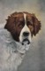 AS72 Animals - Dog, Artist Drawn - Hunde