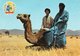 GOULIMINE-ARMOIRIES DE LA PROVINCIE D AGADIR-VIAGGIATA 1970  FG - Agadir