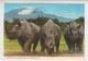 CC 046 /  RWANDA   /  Rhinocéros Noir / Black  RHINOCEROS : Das Schwarze Rhinozeros  ( Nice Stamp ) - Rwanda