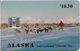 Alaska - Dogs Mushing At Mount McKinley - 10.50$, SC7, 03.1994, 5.000ex, Used - Other - America