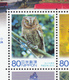 Japan 2010, Bird, Birds, Owl, Owls, (Prefectural Issue) S/S, MNH** - Eulenvögel