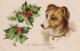 AQ51 Greetings - A Merry Christmas To You - Holly, Dog - Other & Unclassified