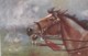 AS73 Animals - Horses - The Charge By H. Walker - Tuck Oilette - Horses