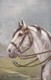 AS73 Animals - Horses - At The Review By H. Walker - Tuck Oilette - Caballos