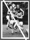 Photo Presse FOOTBALL WEST HAM - NOEL CANTWELL - MIKE GRICE PHIL WOOSNAM JOHN CARTWRIGHT MALCOM MUSGROVE ANDY SMILLIE - Sport