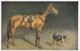 AS75 Animals - Horses - Horse And Dog - Paarden