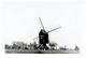 TONGERLOO - 2 Kleine Foto's 6,8 X 10 Cm -1953  - Molen Van Bael Of Oosterwijkmolen Gesloopt 1964 - 2 Scans - Westerlo