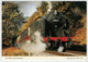 ENGLAND     TRAIN- ZUG- TREIN- TRENI- GARE- BAHNHOF- STATION- STAZIONI   2  SCAN   (NUOVA) - Treni