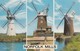 Postcard Norfolk Mills [ Windmill Interest ] My Ref  B13483 - Windmills