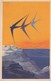 Seagulls , 1930s ; Societe Aera Mediterranea , Italy - Birds