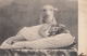 Baby & Lamb , 1904 - Other & Unclassified