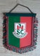 Pennant Handball Club Magdeburg Germany 15x18cm - Handbal