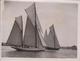 KING'S YACHT DISQUALIFIED AT COWES NYRIA BRITANNIA TERPSICHORE ROYAL YACHT SQUADRO 20*15CM Fonds Victor FORBIN 1864-1947 - Barcos