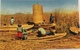 (637) Peru - Puno- The Uros Indians In The Floating Houses. - Pérou