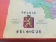 VIEUX PUZZLE EN BOIS CARTE DE LA BELGIQUE AVEC LES DIFFÉRENTES PROVINCES, COMPLET, MADE IN FRANCE - Puzzles