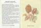 # I Funghi In Valle Brembana - Libricino Edito Dalla Comunità Valle Brembana - Nature