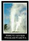 Neuseeland, New Zealand, Pohutu Geyser - Nieuw-Zeeland