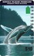 Norfolk Isl. - Telstra/Norfolk. Tel (Anritsu) - Humpback Whale Breaching (SCC Issue), 1995, 10$, 4.000ex, Used - Norfolkinsel