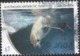 2018 $1.00 Value AAT AUSTRALIA CRABEATER SEAL Postally Used Stamp, THINNED At Left, YT No. 252 - Oblitérés