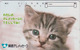 Télécarte Japon / 110-016 - ANIMAL - CHAT Gris ** Telemessage ** - CAT Japan Phonecard - KATZE  - GATTO - GATO - 5019 - Chats
