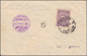 815 Freimarke 5 Pia. Auf Luftpost-Brief ANGORA / ANKARA 13.4.1924 - Altri & Non Classificati