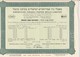 American Israeli Paper Mills Limited Stock Cetificate , 1959 - Israel