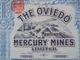 LONDRES 1907 - THE OVIEDO MERCURY MINES - TITRE DE 1 ACTION DE 2  £ - BELLE DECO - Altri & Non Classificati