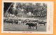 Addah Gold Coast Nigeria 1905 Postcard Mailed - Nigeria
