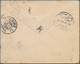 Neusüdwales: 1899, Beautiful Illustrated Envelope Franked With 1/2 And 2 D Sent From SYDNEY With Dup - Lettres & Documents