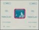 Paraguay: 1961, "Alan B. Shepard Imperforated", Mint Never Hinged Set And Miniatur Sheet, Very Fresh - Paraguay