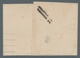 Italien: 1878-1879, Newspaper Stamps On Covers: 2 Centesimi On 0.02 On Wrapper Of The National Bank - Non Classés