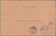 Niederlande: 1898, "1 Gld. Green" Horizontal Pair With Additional Franking On Parcel Card From UTREC - Sonstige & Ohne Zuordnung