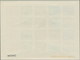 Spanien: 1938, Army And Navy Perforated And IMPERFORATED Miniature Sheets Numbered On Reverse, Mint - Covers & Documents