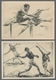 Delcampe - Thematik: Olympische Spiele / Olympic Games: 1936 - BERLIN: 16 Verschiedene Werbekarten In Meist Seh - Other & Unclassified