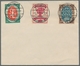 Deutsches Reich - Inflation: 1919 Nationalversammlung Fünf Mal Auf FDC, Dabei 2 Farbige Bildkarten. - Storia Postale