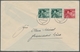 Deutsches Reich - 3. Reich: 1938, Volksabstimmung, Kplt. Satz Mit 2x 6 Pf. Auf Adressiertem FDC Vom - Autres & Non Classés