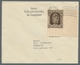 Deutsche Abstimmungsgebiete: Saargebiet: 1925, "10 Fr. Madonna Mit PLF I", Eckrandwert Mit Klar Erke - Lettres & Documents
